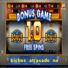 bichos atrasado na loteria dos sonhos